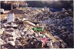 Clearing Alexandra Park site